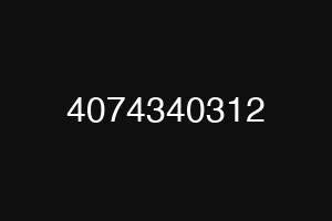 4074340312